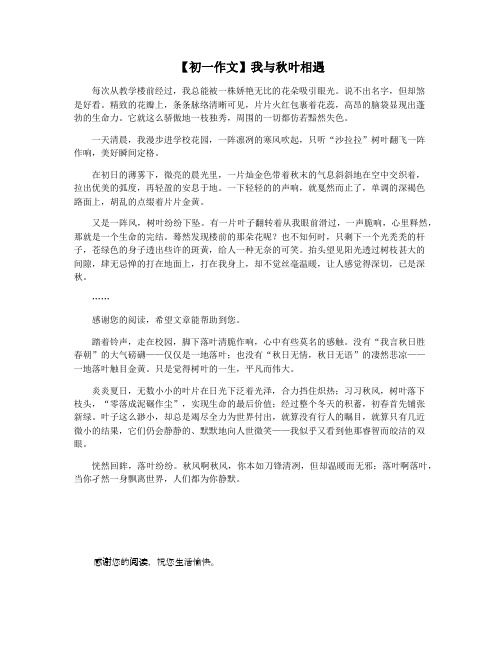 【初一作文】我与秋叶相遇