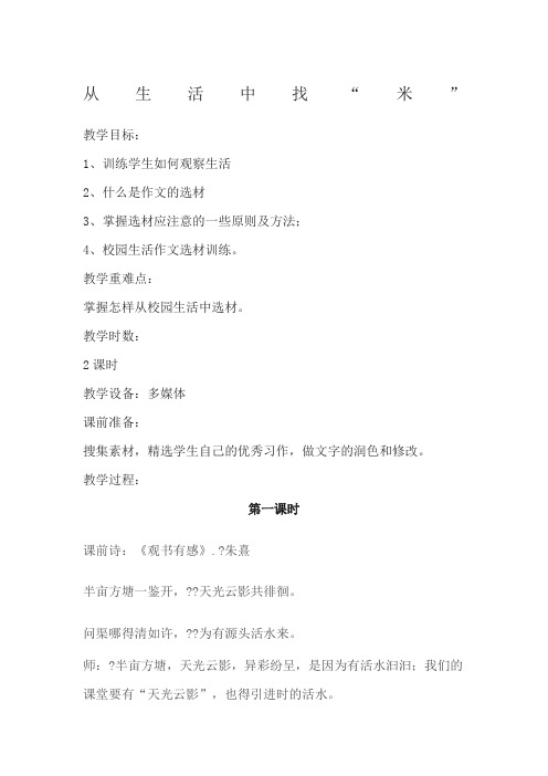 作文《从生活中找“米”》教案2