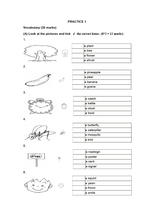 新加坡小学英语一年级试卷PRACTICE 1