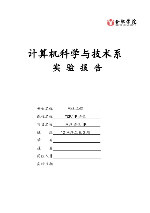 网络协议IP实验报告