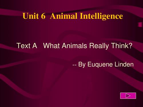 Unit 6  Animal Intelligence