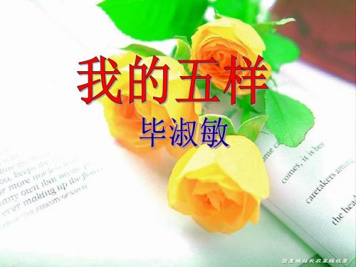 我的五样 (有用)