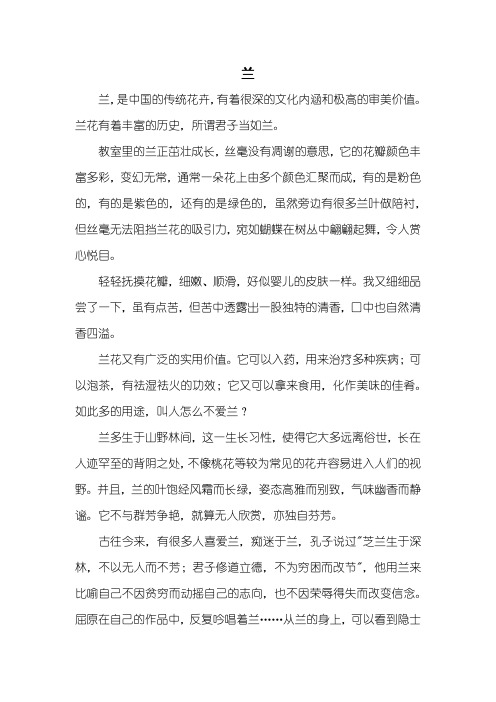 初二作文：兰作文600字_1