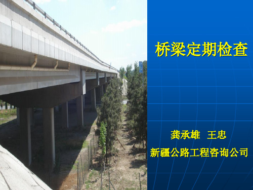 桥梁定期检查