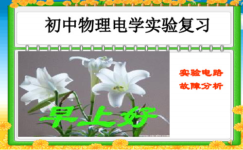 实验电路故障分析