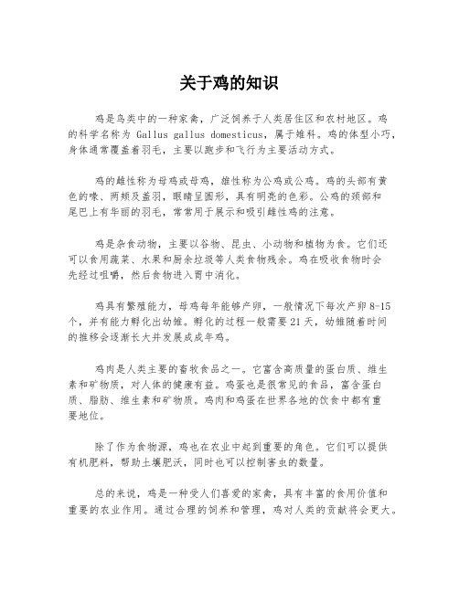 关于鸡的知识