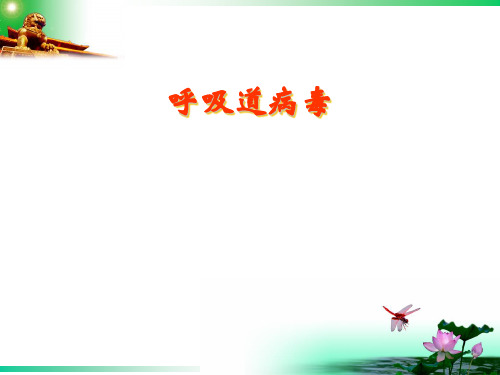 呼吸道病毒-甲型流感病毒