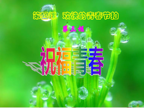 祝福青春ppt优秀课件4 人教版