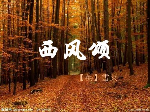 人教课标版高中语文 西风颂PPT课件11