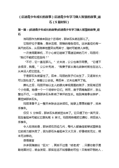 （启迪青少年成长的故事）启迪青少年学习做人智慧的故事_顽石（5篇材料）