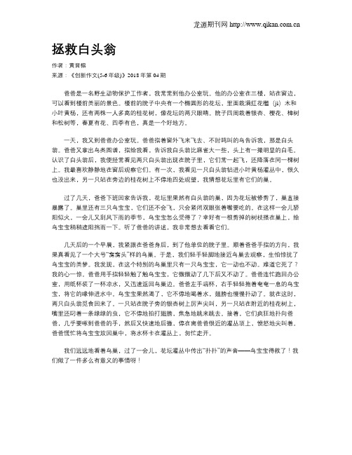 拯救白头翁
