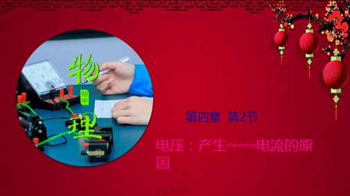 九年级物理上册 4.2电压：产生电流的原因课件(含解析)教科教科级上册物理课件