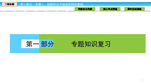 【精品复习】高三生物大二轮专题复习课件：专题一细胞的分子组成和结构基础1.1 