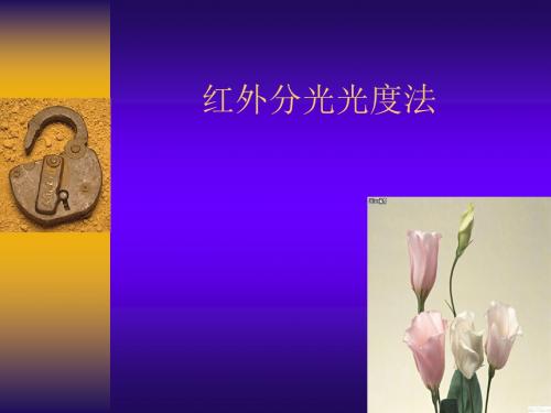 红外分光光度法培训PPT课件