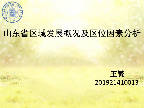 山东区域经济概况及区位因素分析-PPT课件