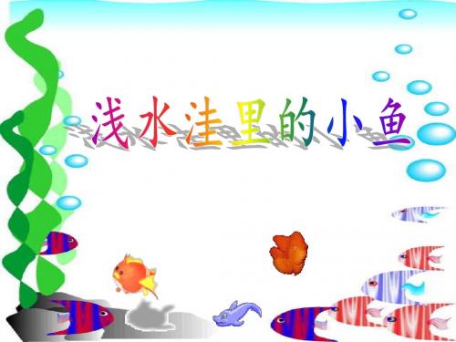 小学二年级语文上册 28《浅水洼里的小鱼》 PPT课件