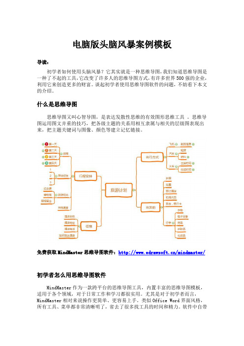 电脑版头脑风暴案例模板