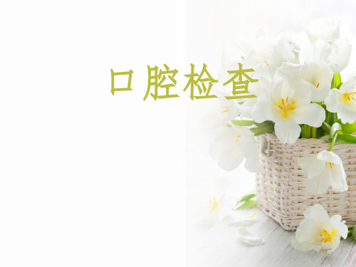 口腔检查ppt课件