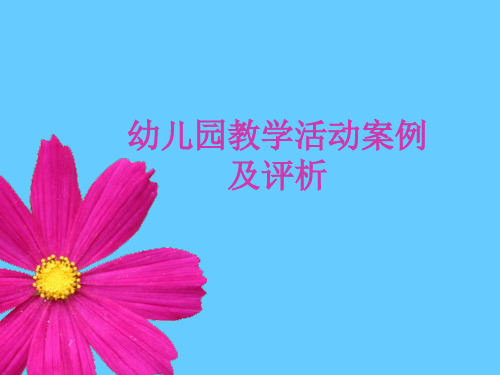 幼儿园教学活动案例及评析ppt课件