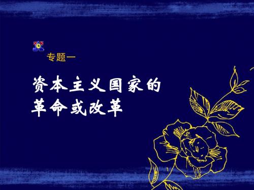 中考专题复习资本主义国家的革命或改革