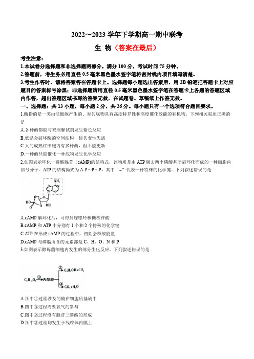 安徽省皖中名校2022-2023学年高一下学期期中联考试题 生物含解析