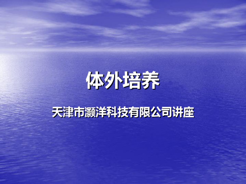 体外培养