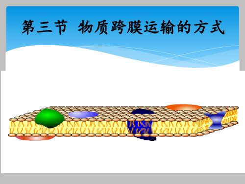 人教版高中生物必修一物质跨膜运输的方式课件ppt