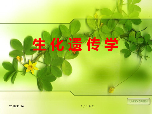 生化遗传病PPT课件
