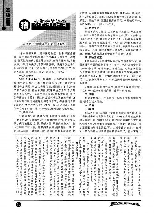 一例犬产后搐搦症的诊断与防治