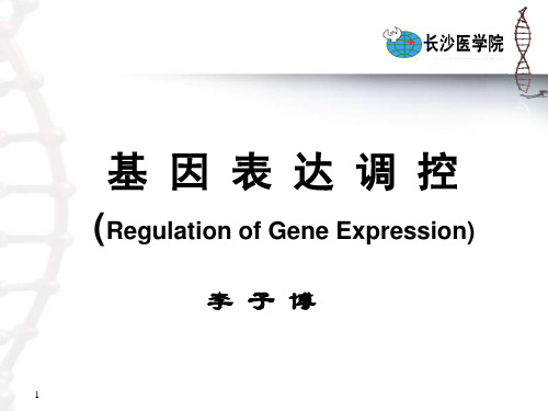 《基因表达调控》PPT课件