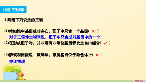 【步步高】习题课2017版高考生物一轮复习-第五单元-遗传的基本规律-第19讲-基因在染色体上和伴性遗传课件
