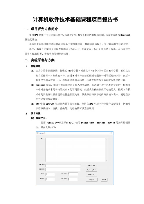 软件技术基础课程项目报告书