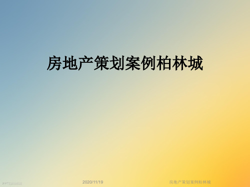 房地产策划案例柏林城