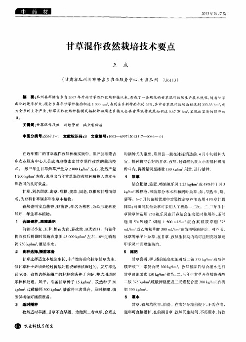 甘草混作孜然栽培技术要点