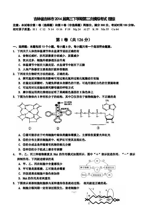 吉林省吉林市2014届高三下学期第二次模拟考试 理综(2014吉林二模)