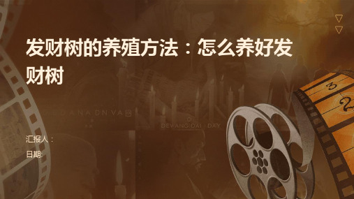 发财树的养殖方法：怎么养好发财树