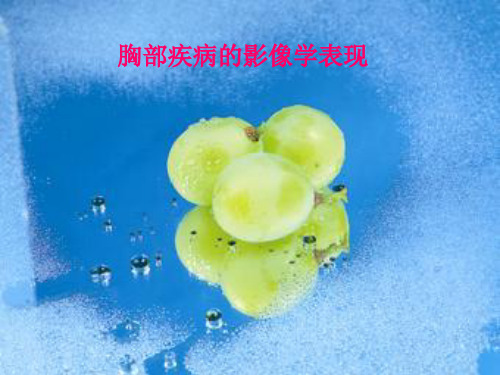 影像技术学 综合读片