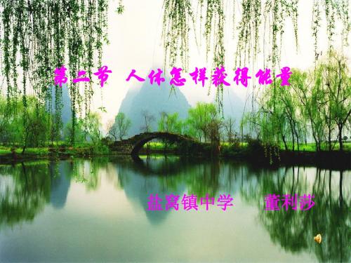 【初中生物】人体怎样获得能量ppt1
