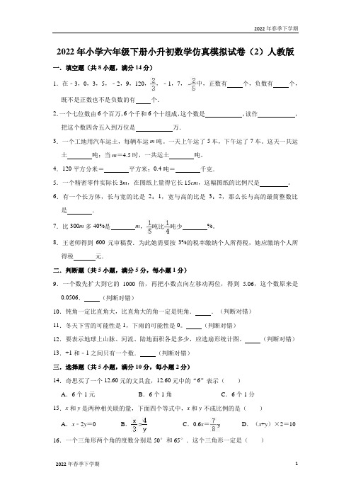 2022年小学六年级下学期小升初数学仿真模拟试卷(2)人教版(解析版)