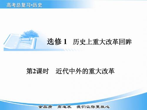 2015届高考历史基础知识总复习精讲课件：选修一  历史上重大改革回眸 第2课时 近代中外的重大改革