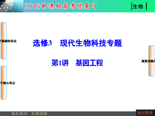 2020年XXXX届高三生物一轮教师备课全书配套课件：现代生物科技参照模板