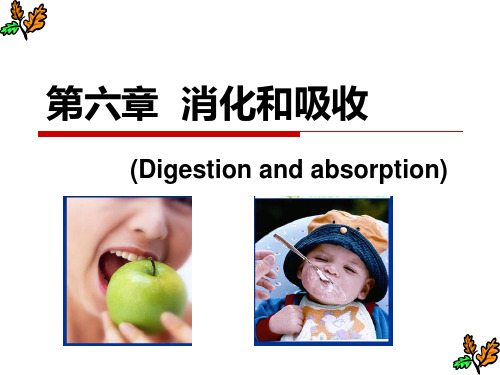 消化系统