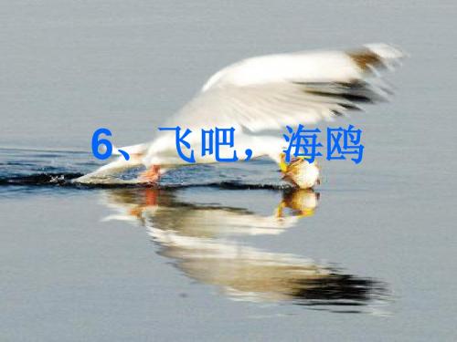 三年级语文下册_飞吧海鸥_2课件_语文S版