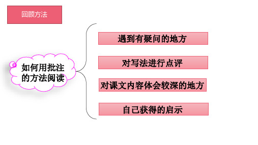 部编版语文四年级上册19一只窝囊的大老虎课件(共23张PPT)