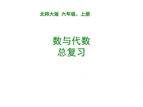 六年级上册数学课件-总复习数与代数总复习｜北师大版(共14张)