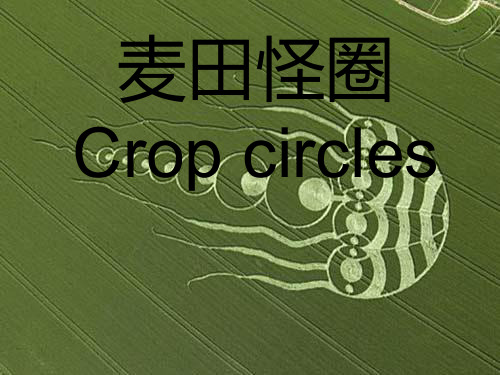 麦田怪圈中英文