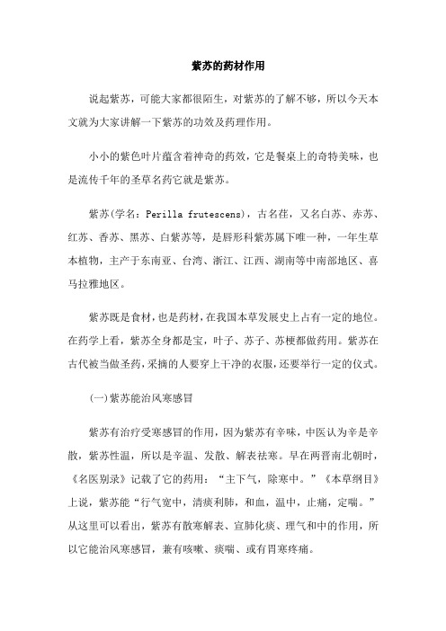 紫苏的药材作用