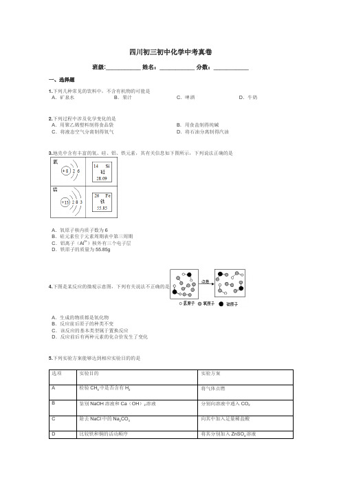 四川初三初中化学中考真卷带答案解析
