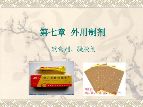 9第七章外用制剂1