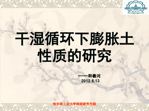 干湿循环下膨胀土性质研究